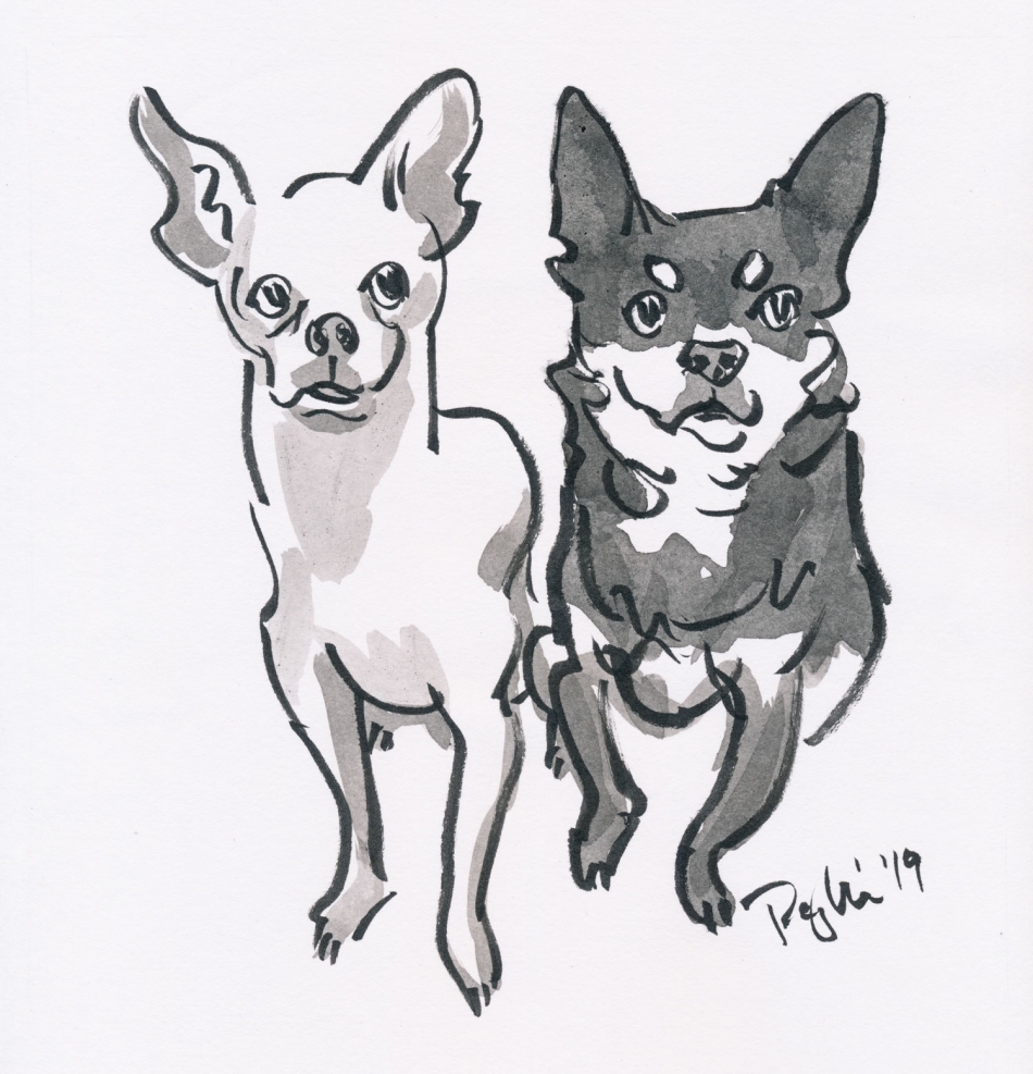 2-chihuahuas.jpg