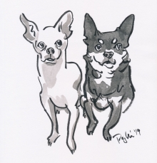 2-chihuahuas.jpg