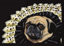 Perogi, Queen of Pugs