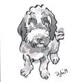 Single Custom Pet Drawing | Popkin's Pet Portraits