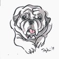 Single Custom Pet Drawing | Popkin's Pet Portraits