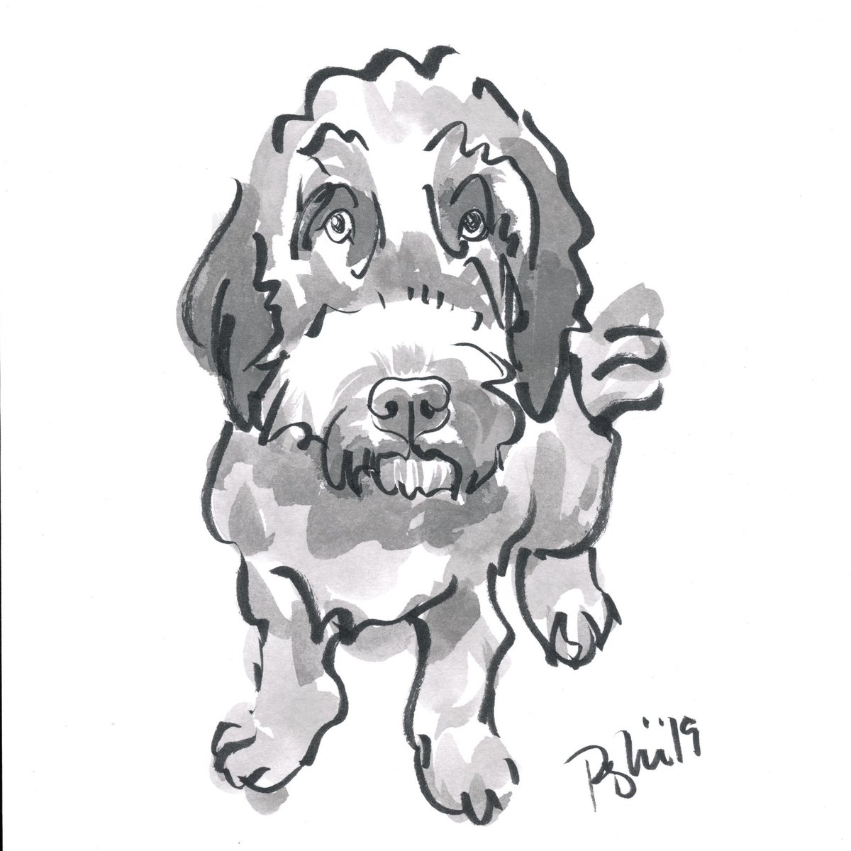 Single Custom Pet Drawing | Popkin's Pet Portraits