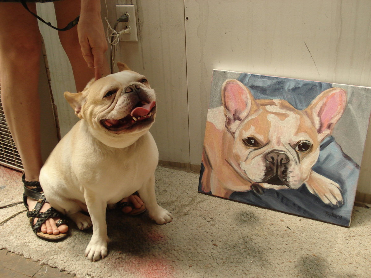 Custom Pet Portrait | Oil on Canvas 16"x 24" | Popkin's Pet Portraits