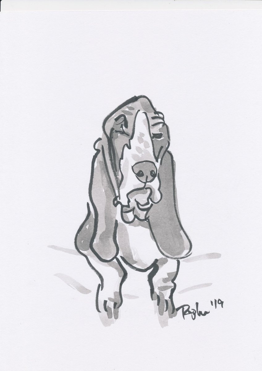 Single Custom Pet Drawing | Popkin's Pet Portraits