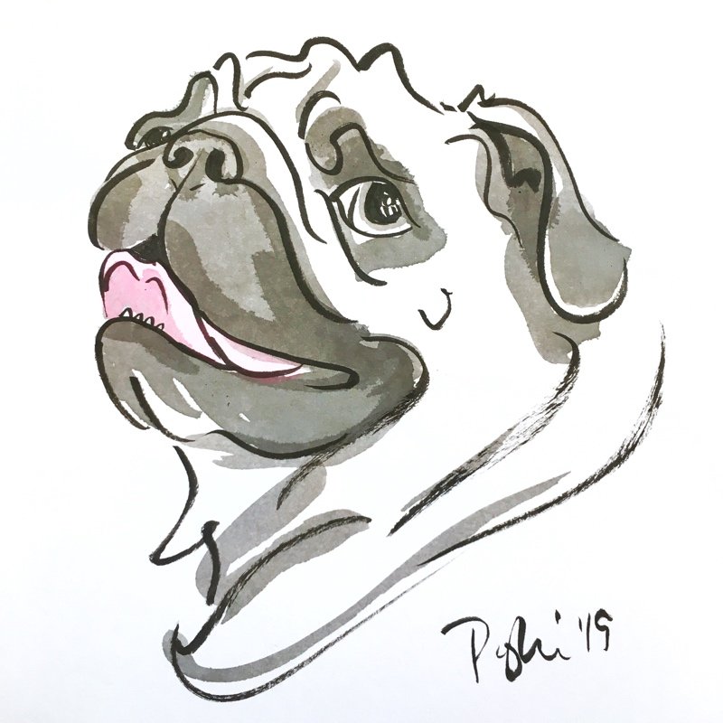 Single Custom Pet Drawing | Popkin's Pet Portraits