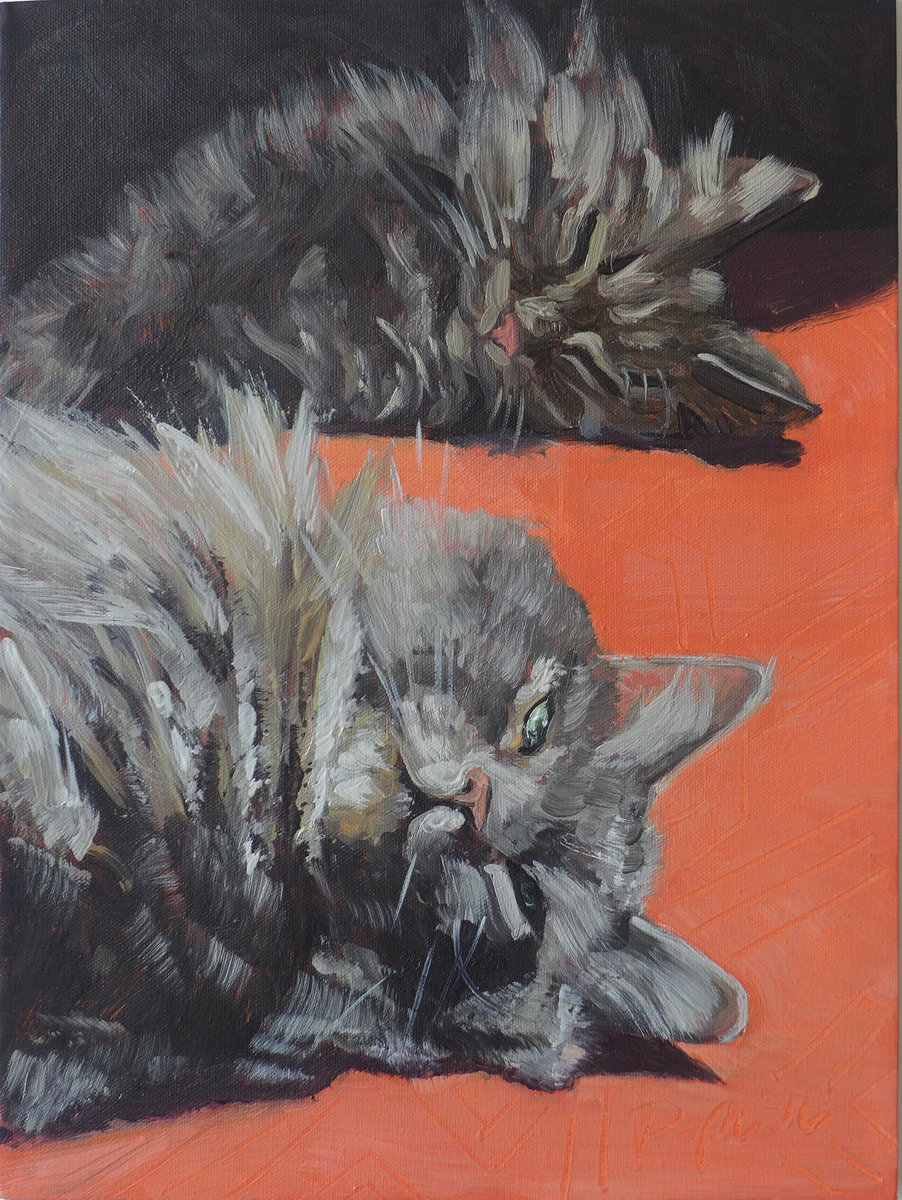 Custom Pet Portrait | Oil on Canvas 16"x 24" | Popkin's Pet Portraits